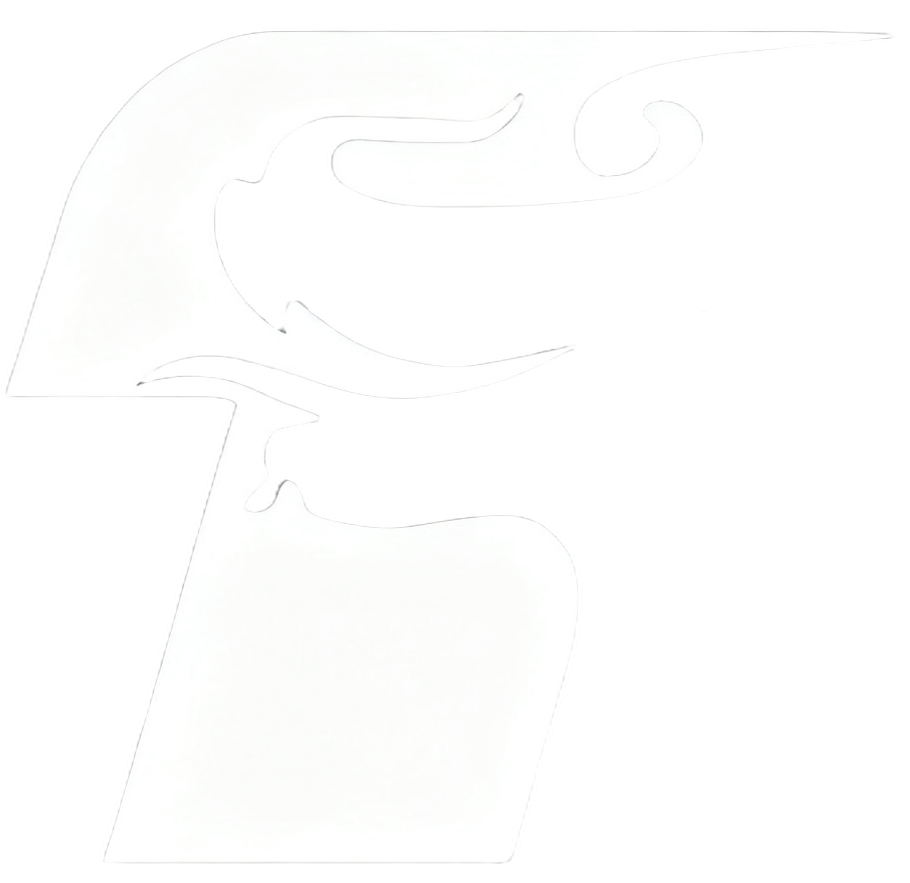 腾龙精线集团 - 左侧logo