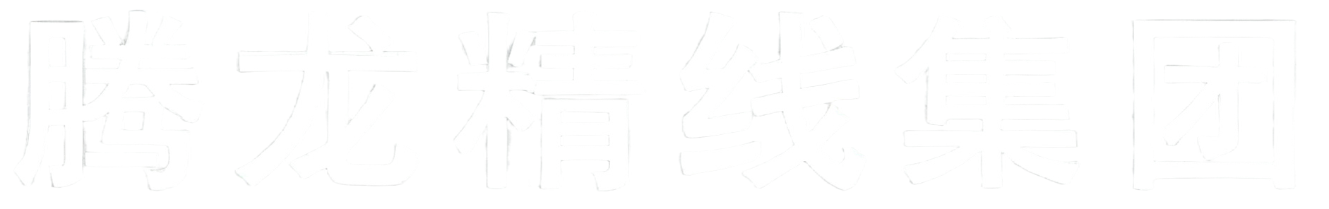 腾龙精线集团 - 右下logo